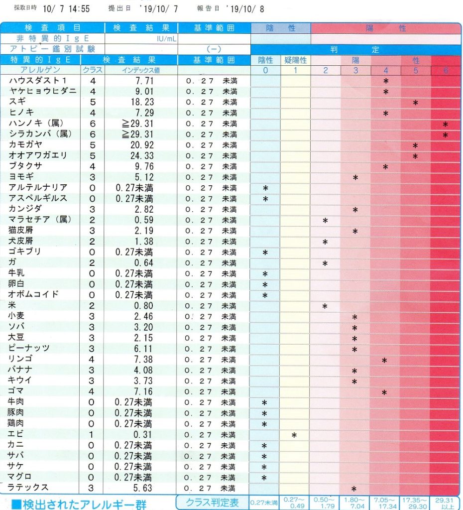 アレルギー検査　血液検査