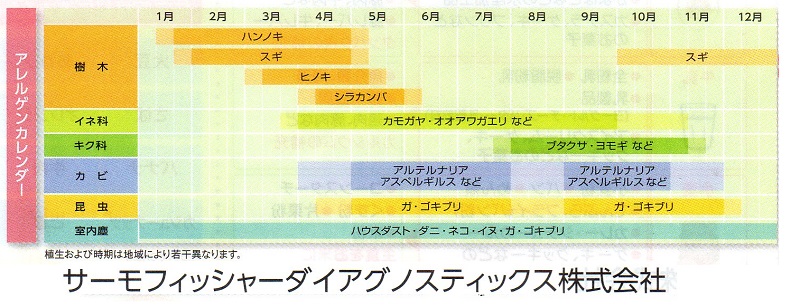 花粉飛散時期　ランニング　花粉症対策