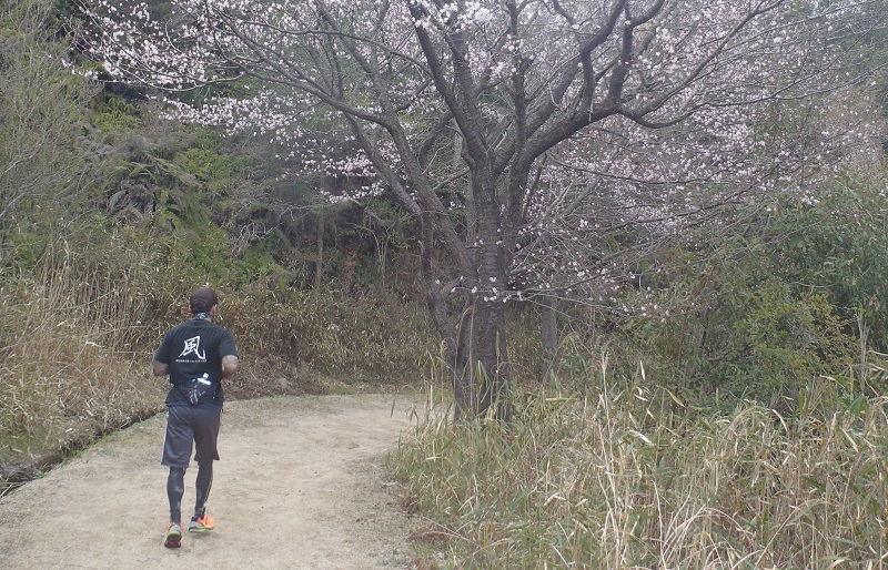 ランナーのための花粉症対策　花粉症に悩むランナー　ランニング