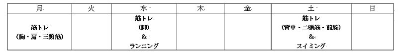 トレーニング計画　スケジュール