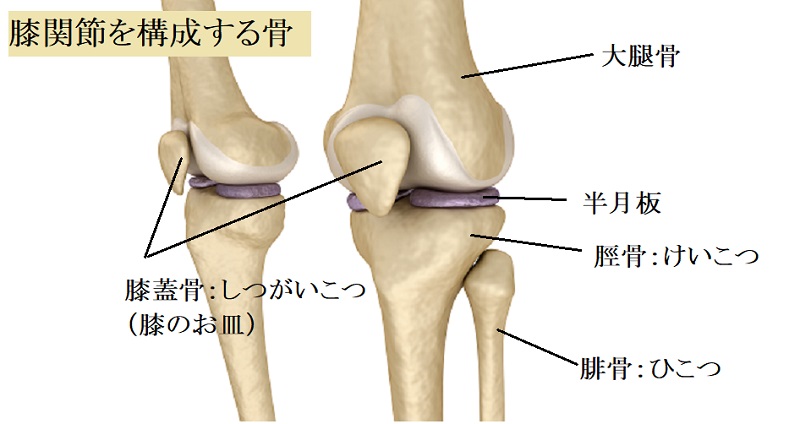 鵞足炎　治療法　対処法　膝内側の痛み