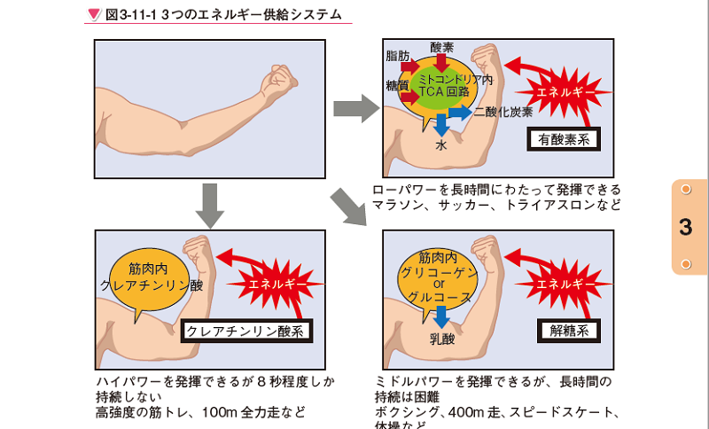 ウォーキング ジョギング 始め方 外出制限　運動不足解消