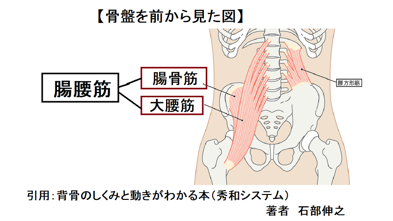 腸腰筋ストレッチ　ランニング　ロードバイク