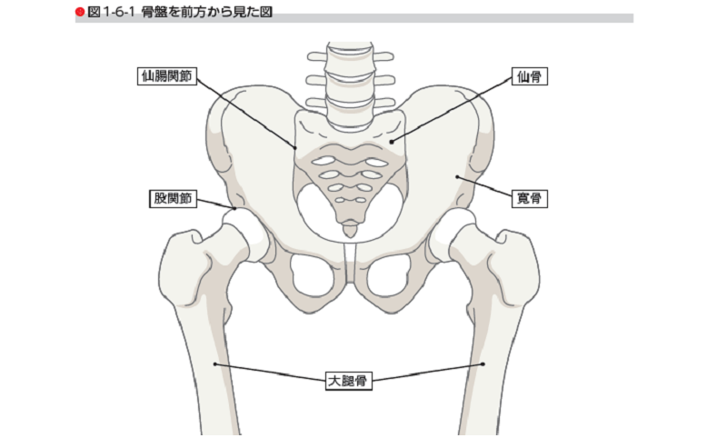 骨盤　動かし方　ドローイン