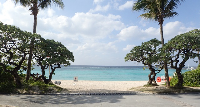 ブセナ海中公園 正月 沖縄旅行