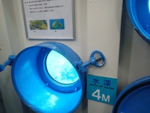 ブセナ海中公園 正月 沖縄旅行