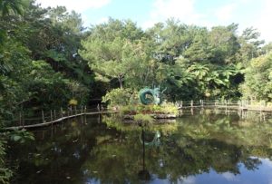 ビオスの丘 沖縄 正月 元旦