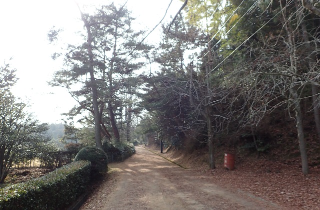 深山公園 ウォーキング 冬