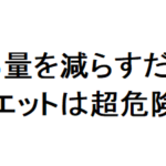 ニューヨクササイズ ダイエット