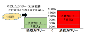ニューヨクササイズ ダイエット