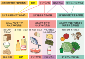 筋肉 異化 同化 アナボリック カタボリック