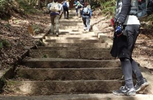 吉備路の山全山縦走大会 シューズ ブログ
