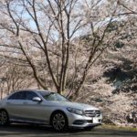 ベンツCクラス W205 桜