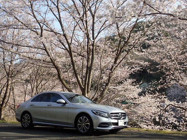 ベンツCクラス W205 桜