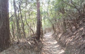 讃岐うどんつるつるツーデーウォーク 　崇徳天皇・へんろ道コース ブログ