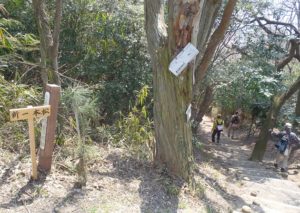 讃岐うどんつるつるツーデーウォーク 　崇徳天皇・へんろ道コース ブログ