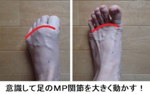 足首強化法 ブログ