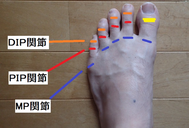 足首強化法 ブログ