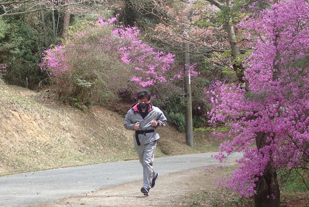 深山公園 ツツジ ランニング