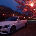 夜桜 ベンツCクラス ｗ205