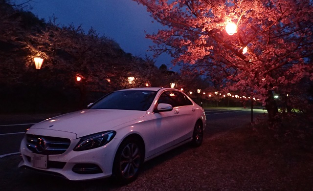 夜桜 ベンツCクラス ｗ205