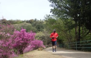 深山公園 ツツジ 満開