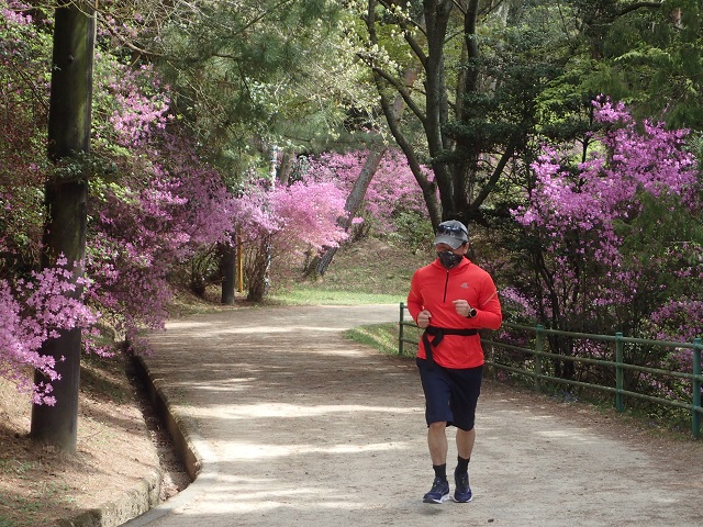 深山公園 ツツジ 満開