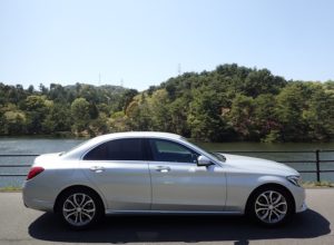 深山公園 ツツジ ブログ