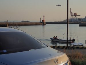 渋川藤まつり ブログ