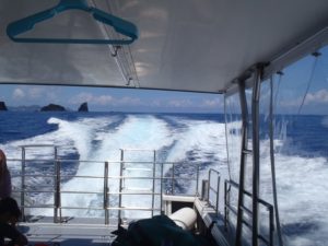 慶良間諸島 ボートシュノーケル ブログ