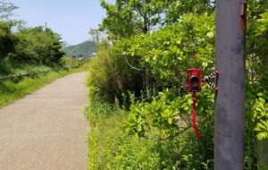 Joby ゴリラポッド マグネット ブログ