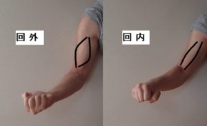 回外筋 痛み 原因 解消法