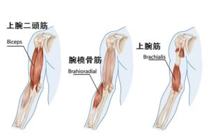回外筋 痛み 原因 解消法