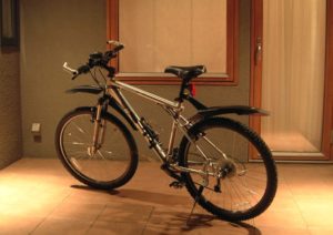 倉敷国際トライアスロン大会