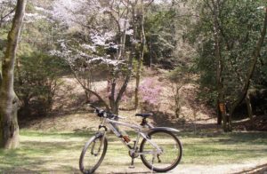 倉敷国際トライアスロン大会