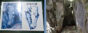 恐竜の顔 大石林山