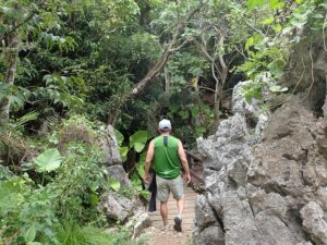 大石林山 歩き方 コース