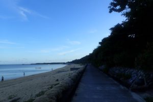 備瀬フクギ並木 早朝ランニング