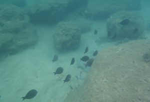 津堅島 沖縄家族旅行記