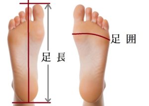 足長 足囲 簡単な測定方法