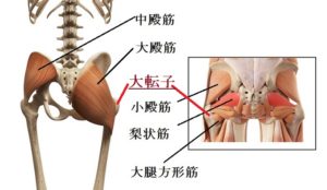 ランナー必見！　坐骨神経痛 マッサージ