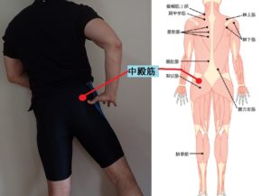 ランニング お尻の痛み 殿筋