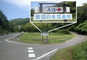 由加 蛍祭り 蛍遊の水辺