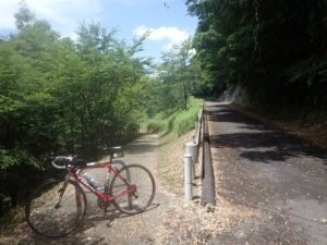 由加 蛍祭り 蛍遊の水辺
