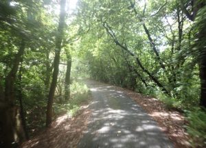 ホタル祭り　第21回 ブログ