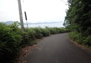 倉敷国際トライアスロン大会 練習 ブログ