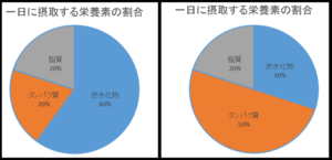 エネルギーバランス　超回復