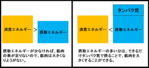 超回復 エネルギー