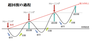 超回復　筋トレ