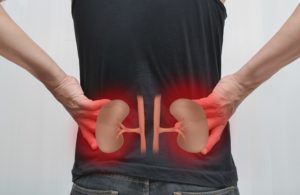 プロテイン飲み過ぎ　腎臓